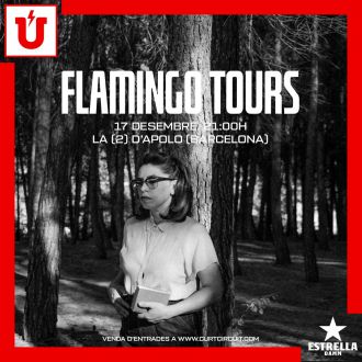 Curtcircuit presents: Flamingo Tours