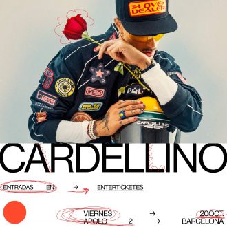 Cardellino