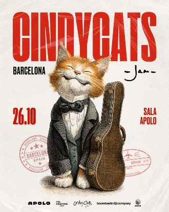 Cindy Cats