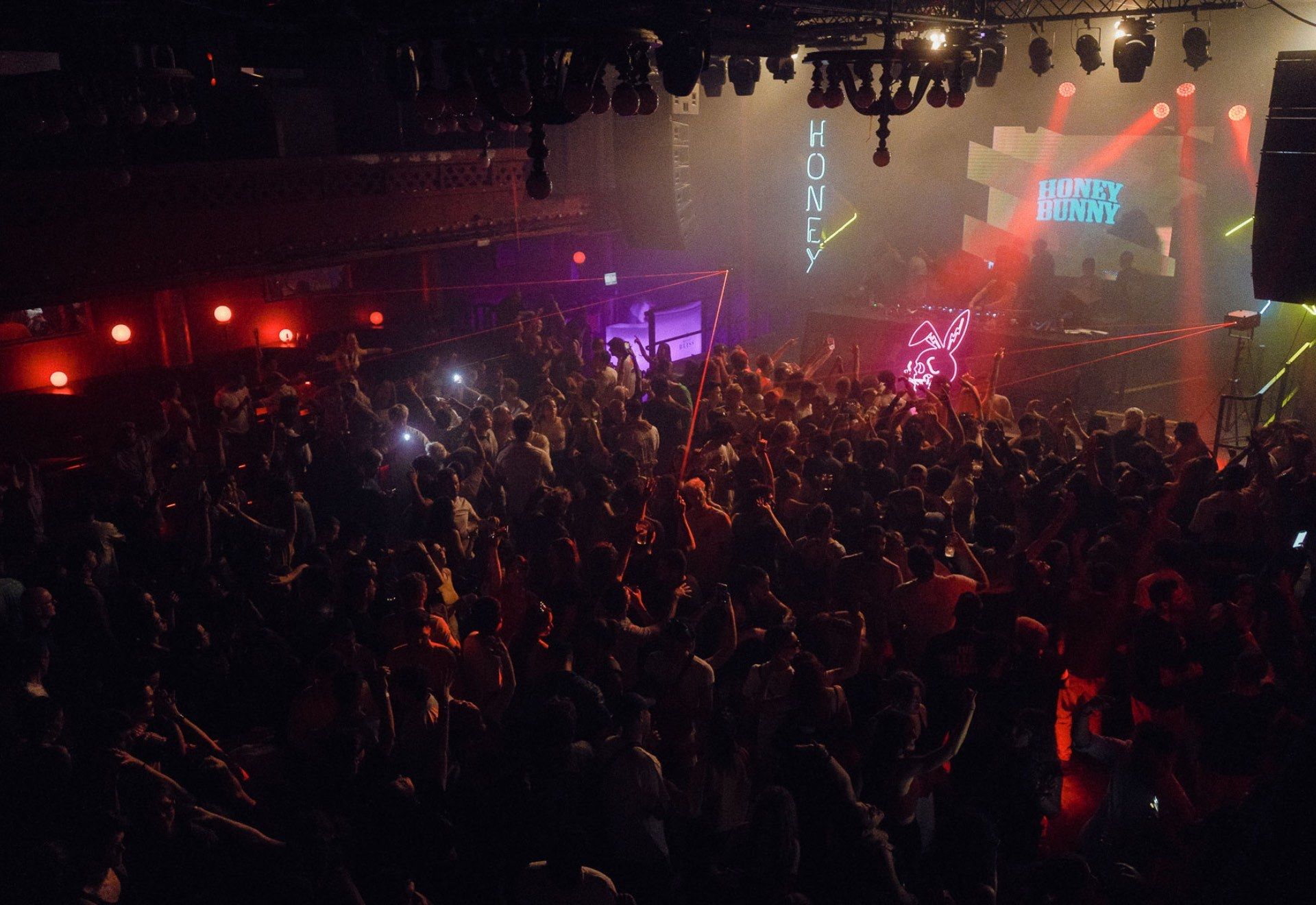 Honey Bunny & Bass Bunny: Legoteque & Joe Cabana + Dj Kosmos