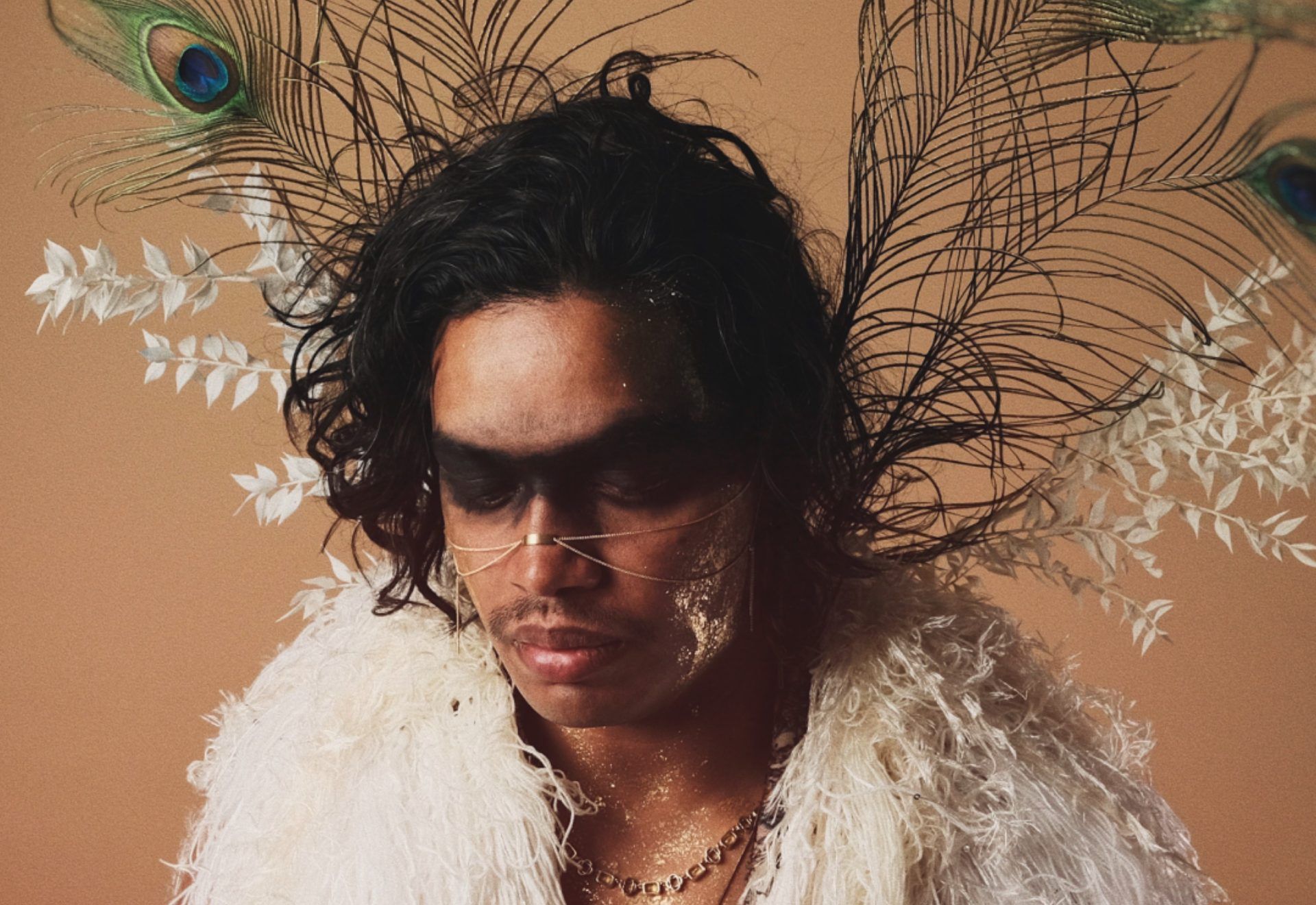 Arc de Soleil Arc de Soleil