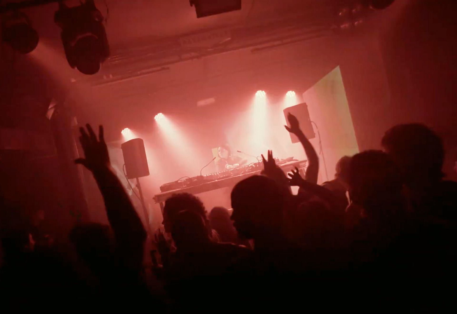 Apologia X Femnoise: Nancy + Andrea Zarco + Traca + Bonhomia